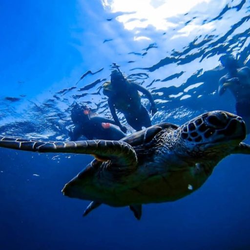 Screenshot_20230504_195642_Maps