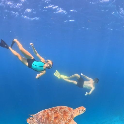 Screenshot_20241102_191000_Gallery