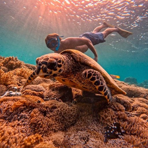 Screenshot_20250410_140017_Maps