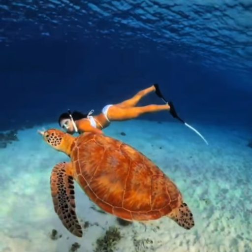 Screenshot_20250417_204849_Gallery