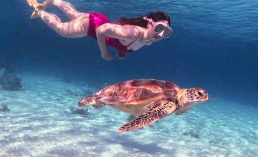 WhatsApp Image 2025-07-08 at 11.28.09